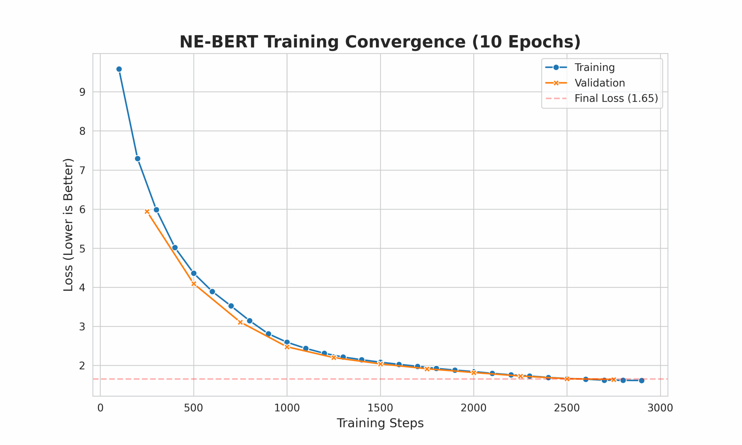 NE-BERT Training convergence and train loss